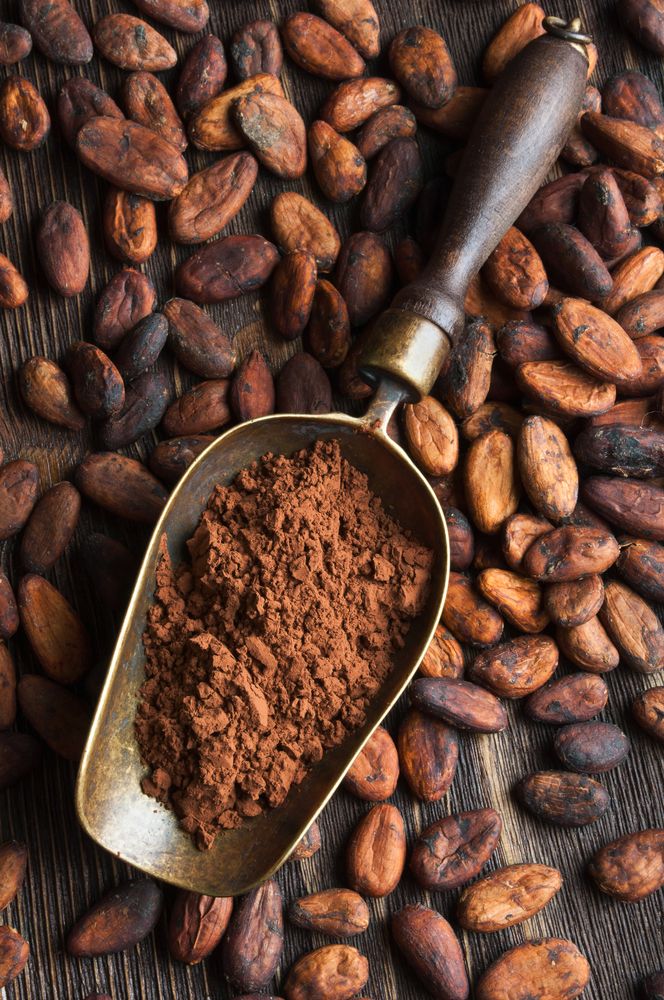 The Ultimate Guide To Original cocoa beans